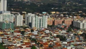 Guará - Foto Mary Leal